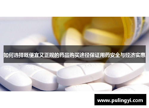 如何选择既便宜又正规的药品购买途径保证用药安全与经济实惠 如何选择既便宜又正规的药品购买途径保证用药安全与经济实惠