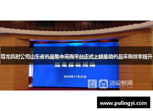 尊龙凯时公司山东省药品集中采购平台正式上线推动药品采购效率提升 尊龙凯时公司山东省药品集中采购平台正式上线推动药品采购效率提升