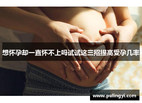 想怀孕却一直怀不上吗试试这三招提高受孕几率 想怀孕却一直怀不上吗试试这三招提高受孕几率