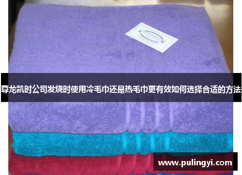 尊龙凯时公司发烧时使用冷毛巾还是热毛巾更有效如何选择合适的方法 尊龙凯时公司发烧时使用冷毛巾还是热毛巾更有效如何选择合适的方法