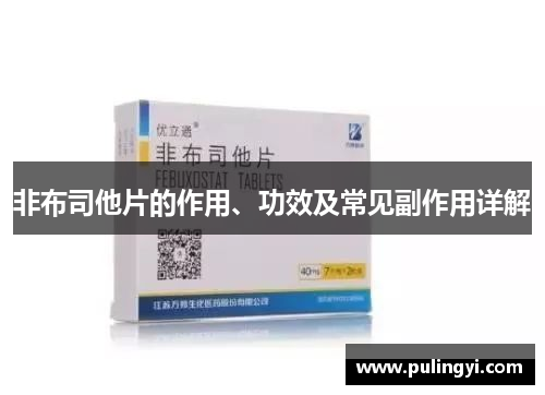 非布司他片的作用、功效及常见副作用详解 非布司他片的作用、功效及常见副作用详解